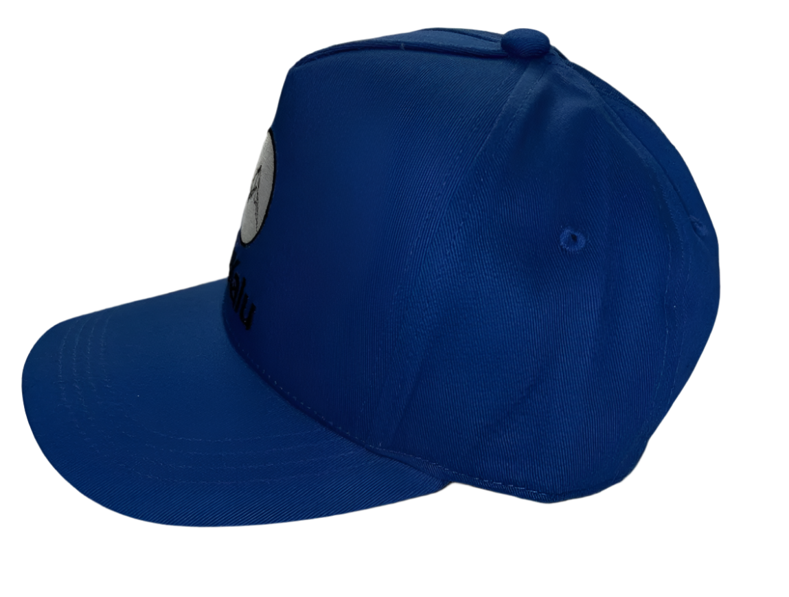 Blue Designer Cap | Stylish & Functional Snapback